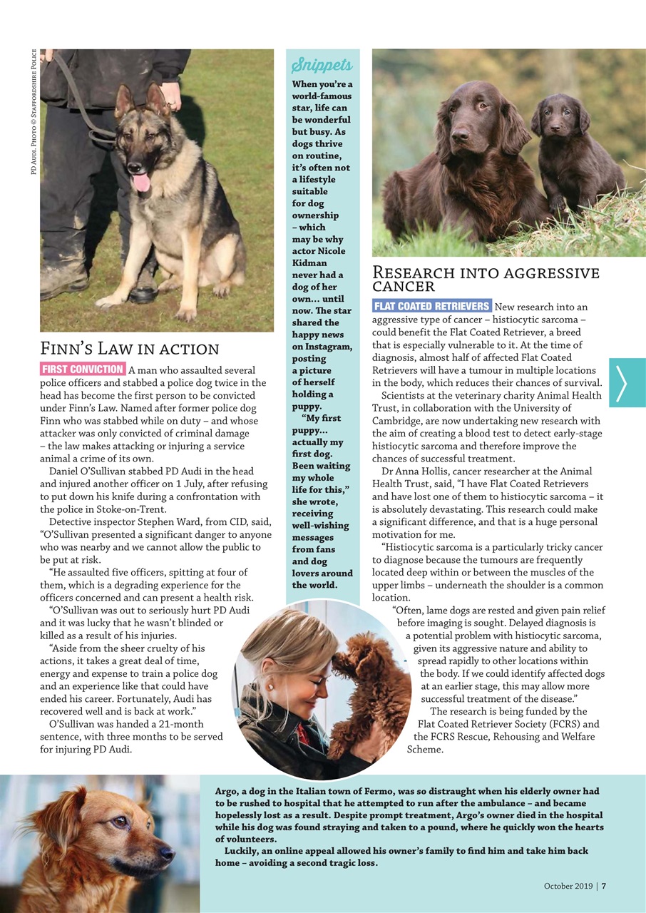 Dogs Monthly Preview Pages