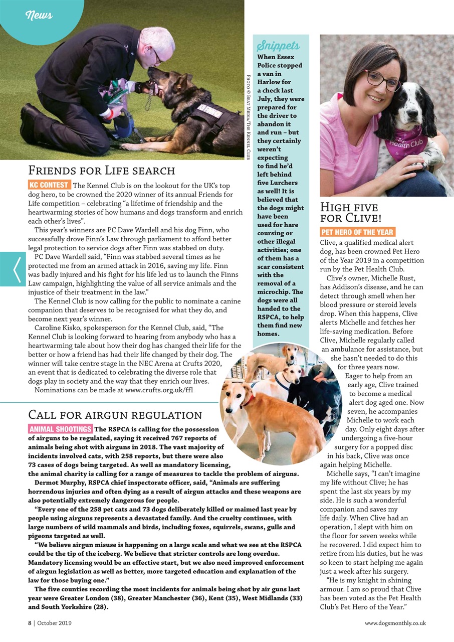 Dogs Monthly Preview Pages
