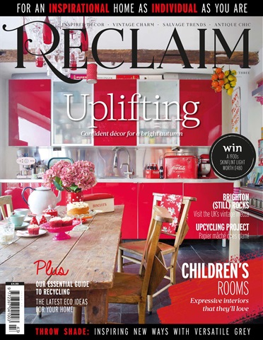 Reclaim issue Issue 43