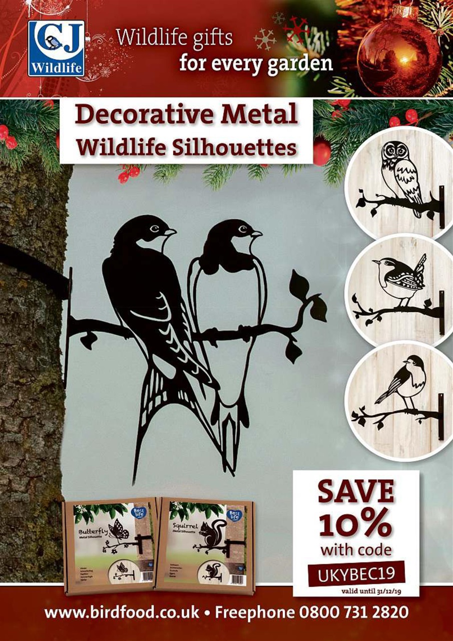 My Weekly Special Preview Pages