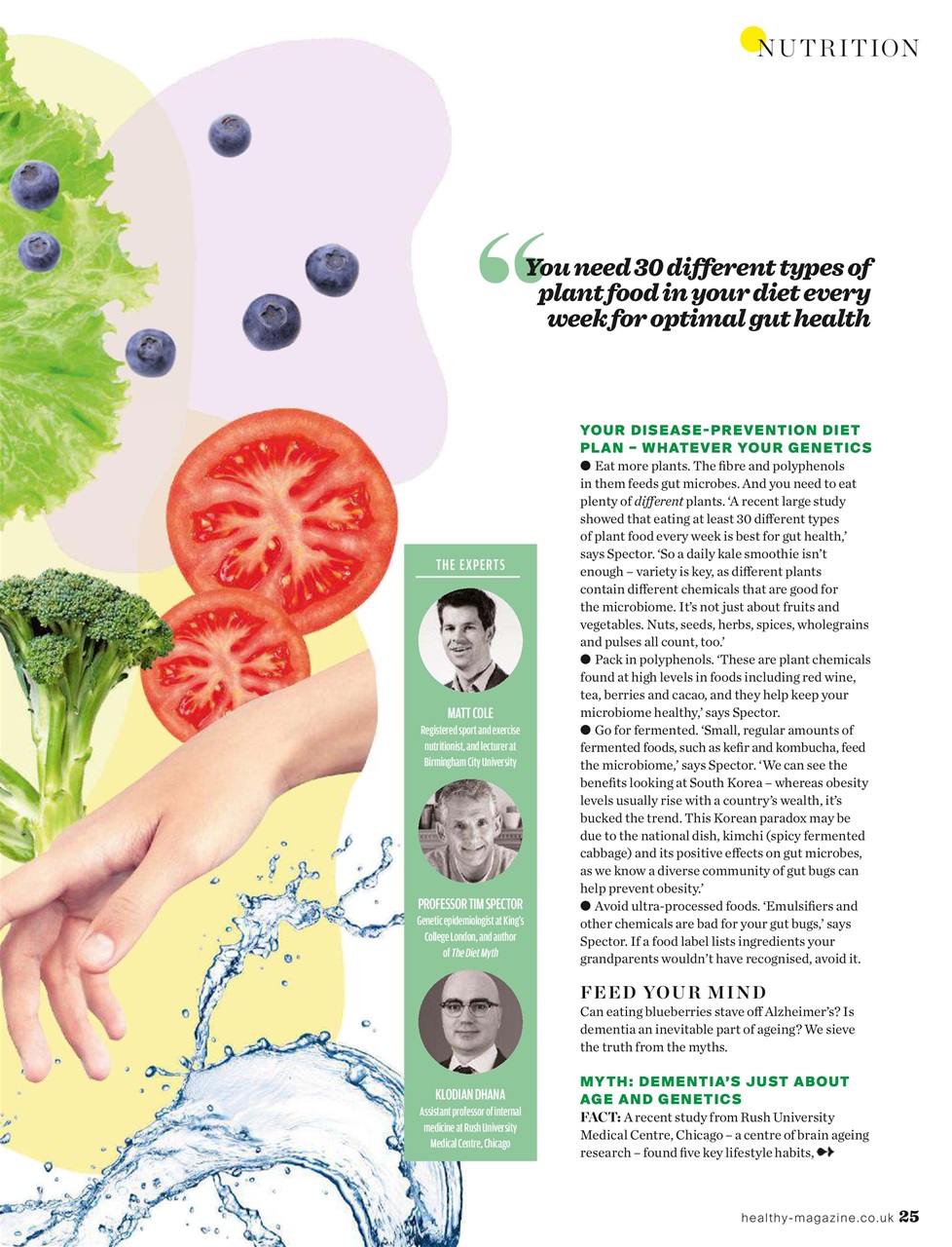 Healthy Magazine Preview Pages