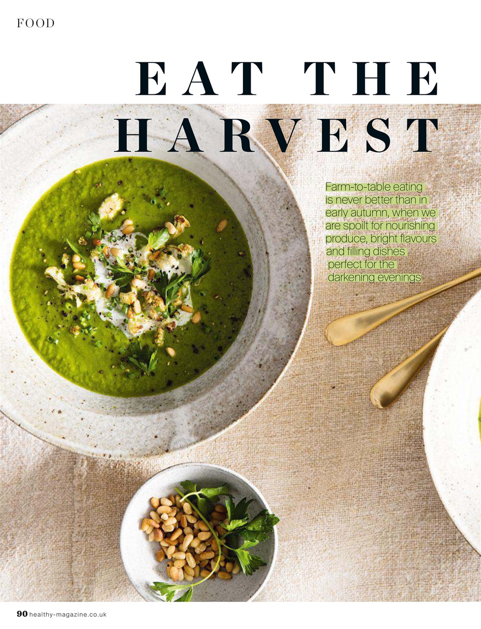 Healthy Magazine Preview Pages