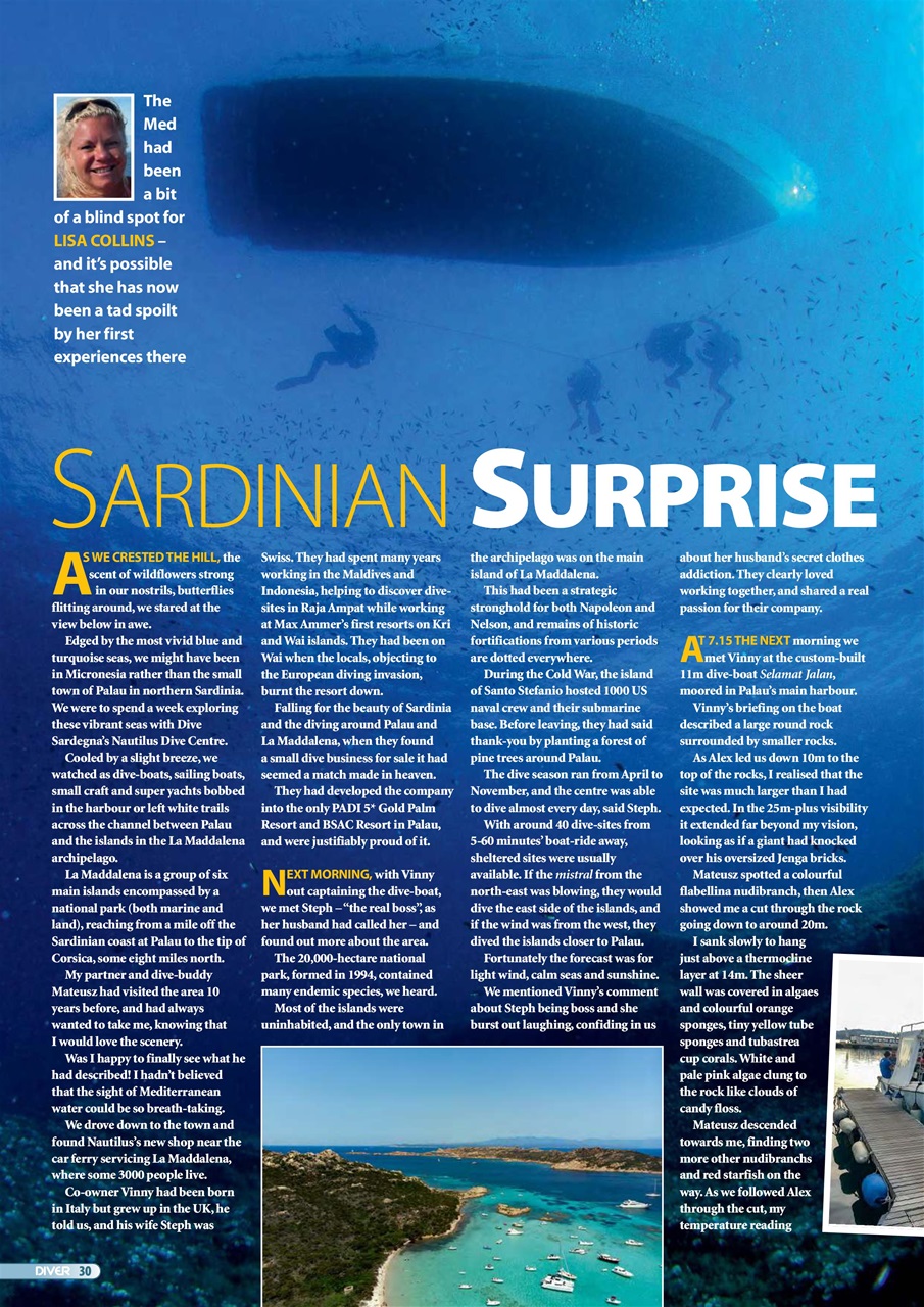DIVER Preview Pages