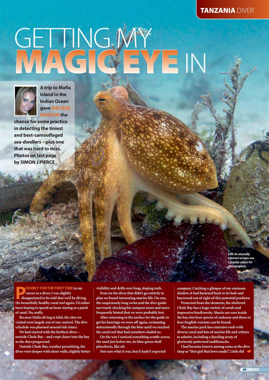DIVER Preview Pages