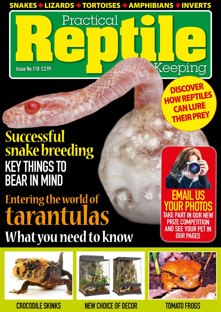 Practical Reptile Keeping Preview Pages
