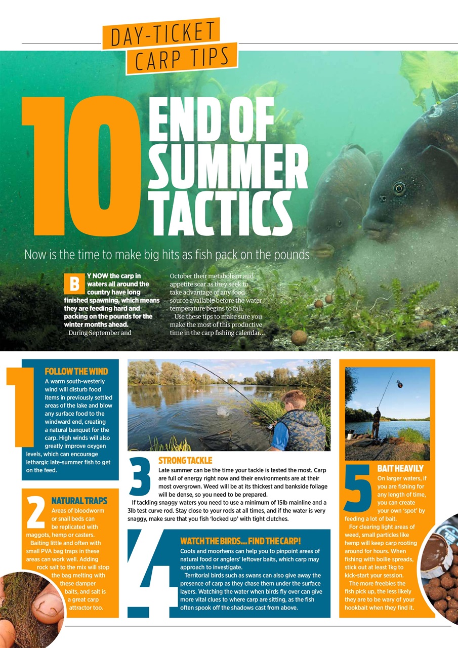 Angling Times Preview Pages