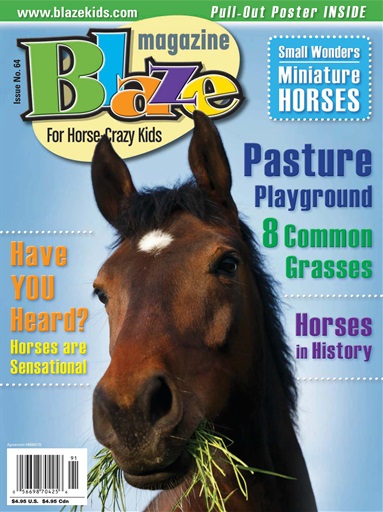 Blaze Magazine For Horse Crazy Kids issue 