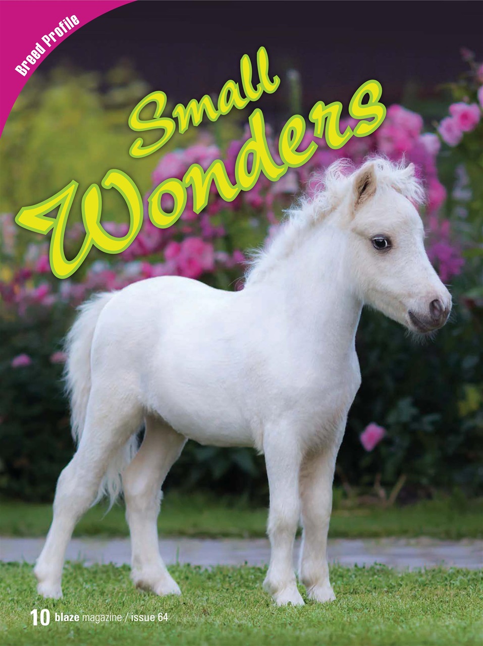 Blaze Magazine For Horse Crazy Kids Preview Pages