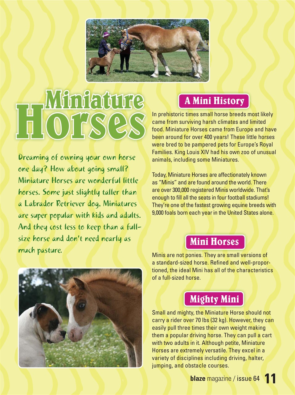 Blaze Magazine For Horse Crazy Kids Preview Pages