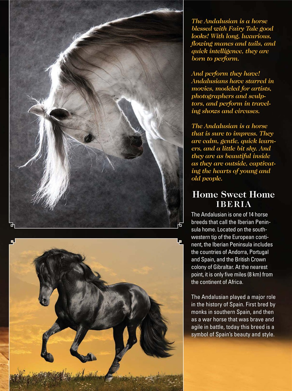 Blaze Magazine For Horse Crazy Kids Preview Pages
