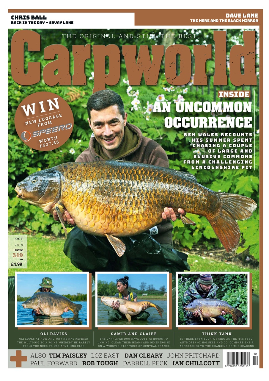 Carpworld Preview Pages