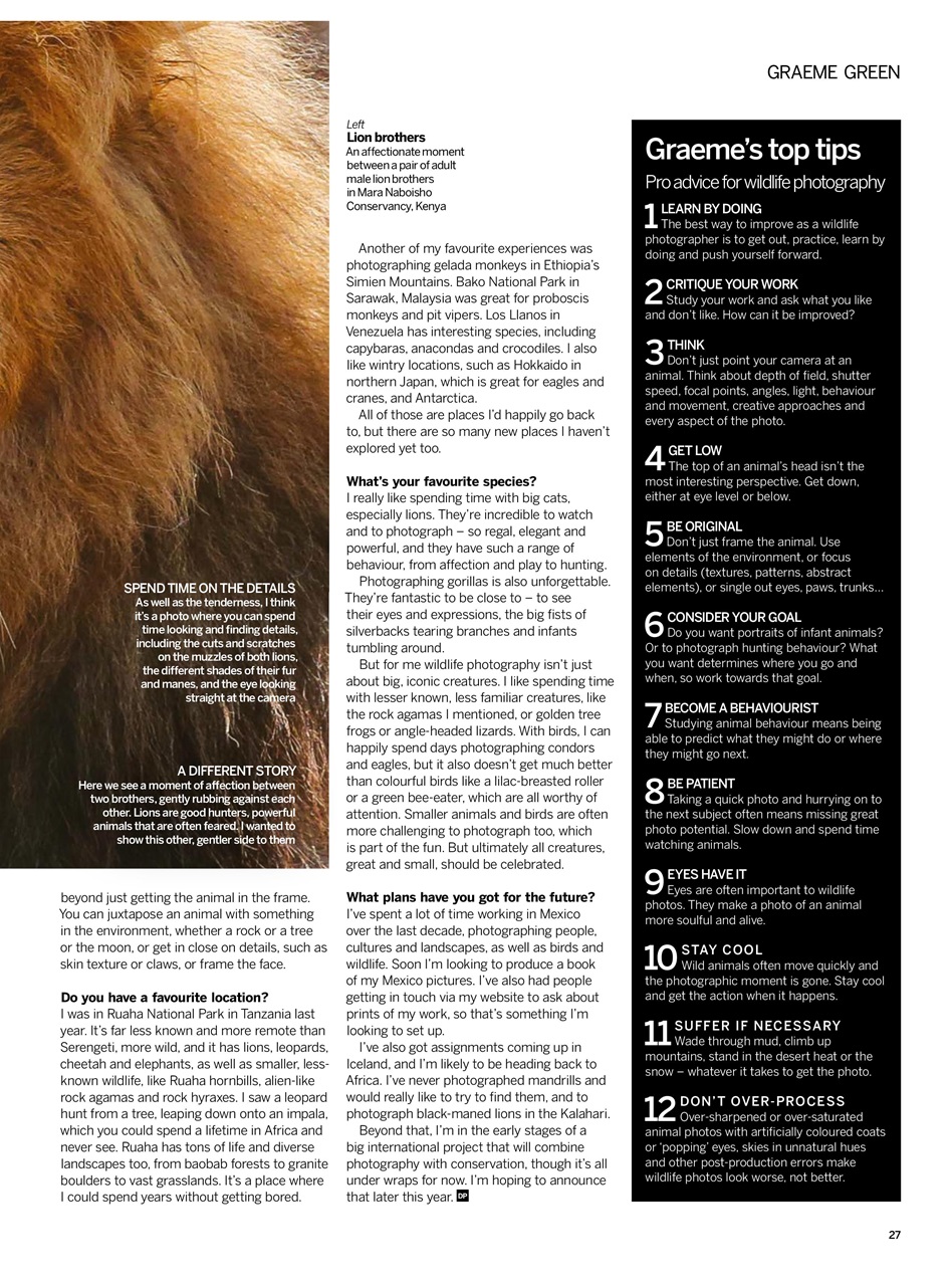 Digital Photographer Preview Pages