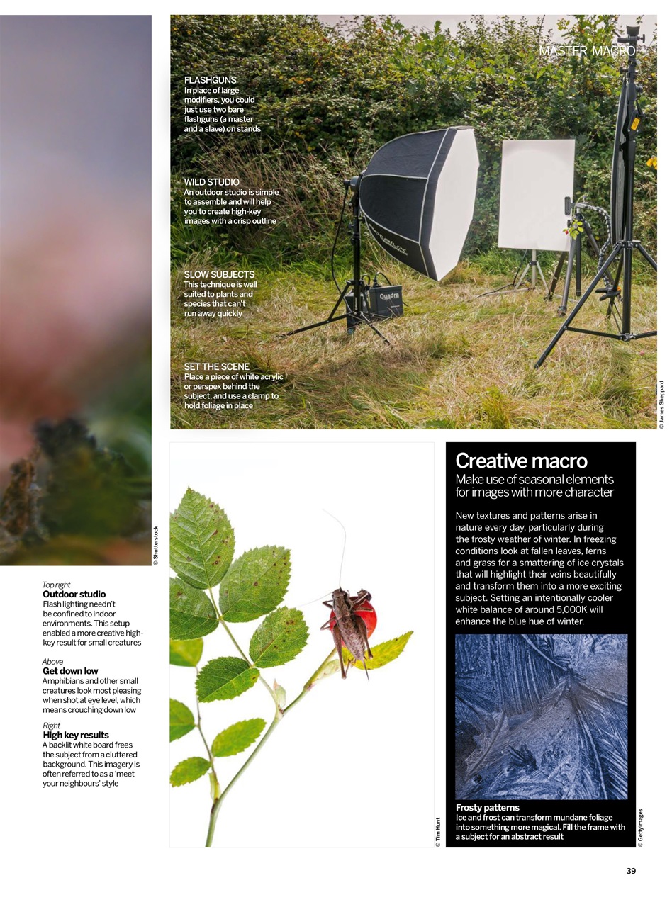Digital Photographer Preview Pages