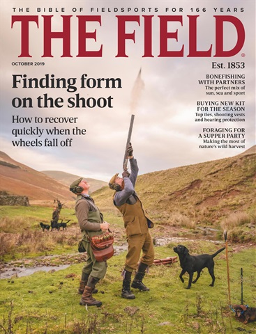 The Field issue October 2019