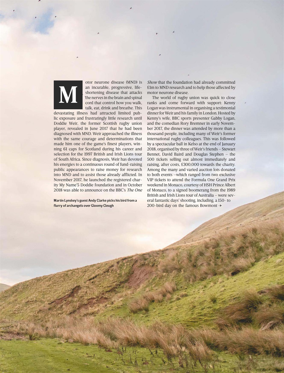 The Field Preview Pages