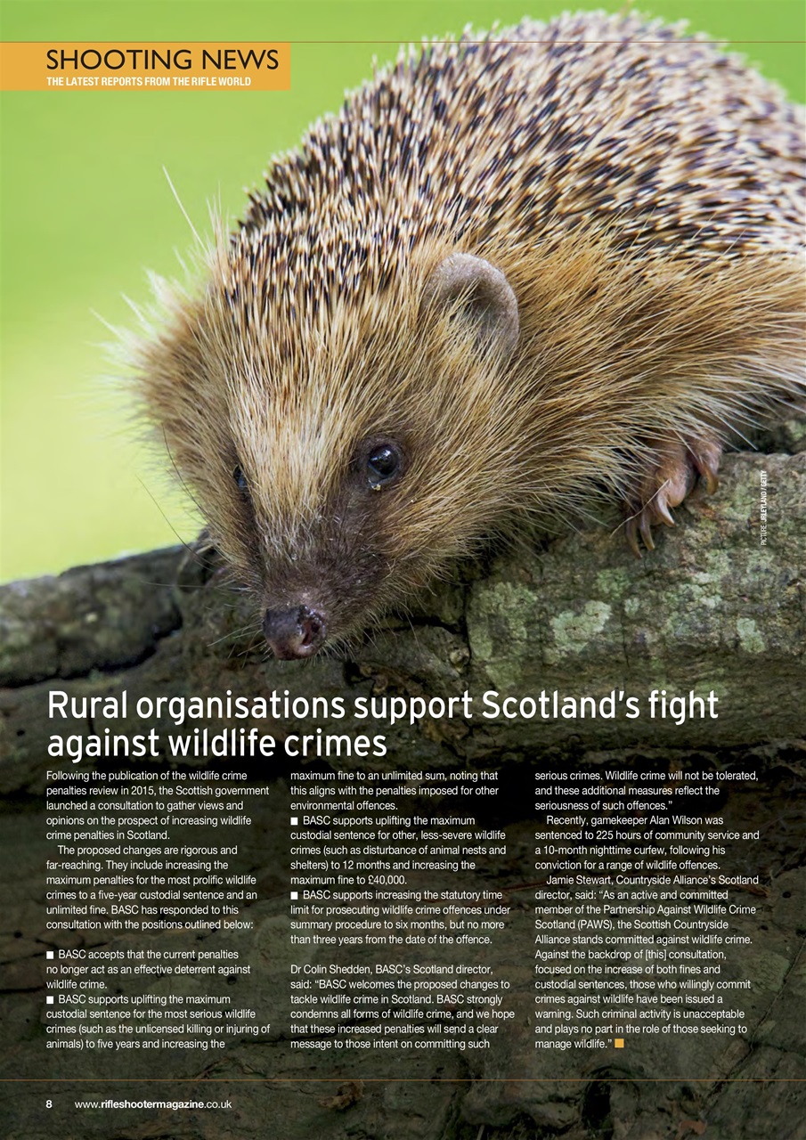 Rifle Shooter Preview Pages