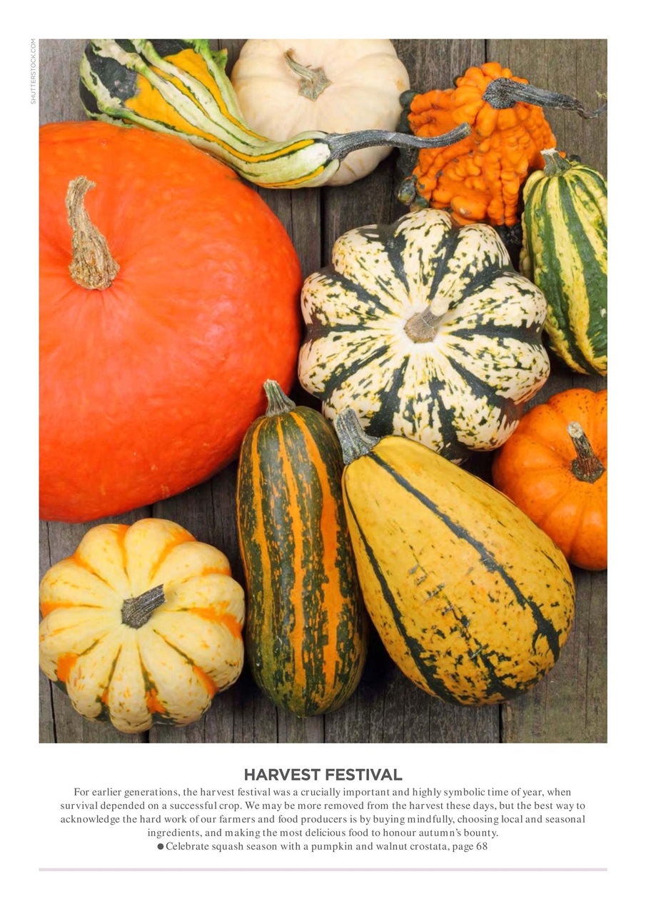 Vegetarian Living Preview Pages