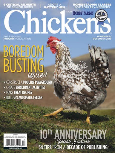 Chickens Magazine issue 