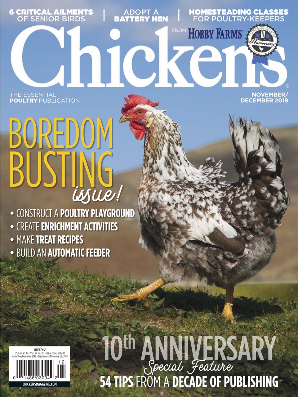 Chickens Magazine Preview Pages