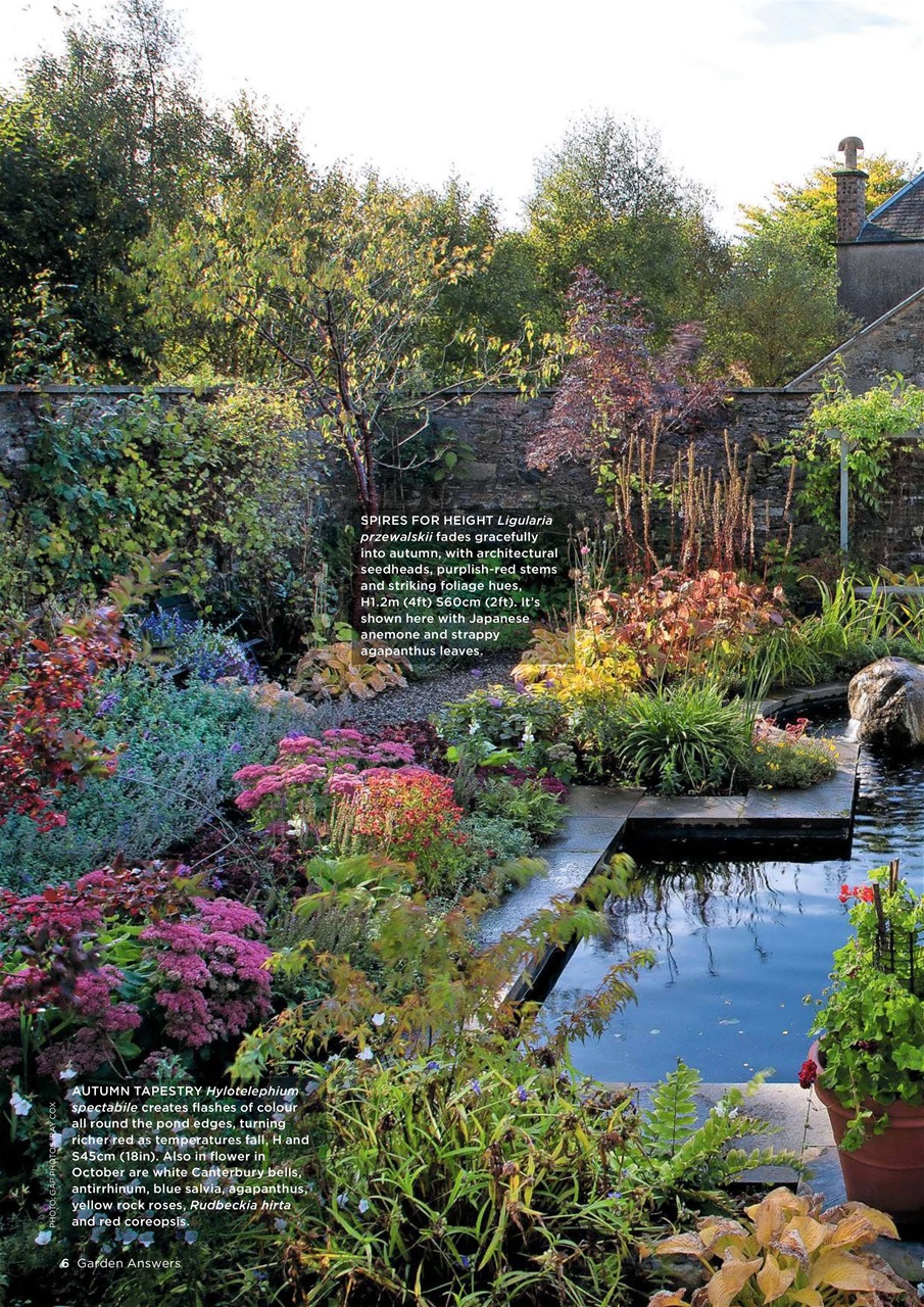 Garden Answers Preview Pages