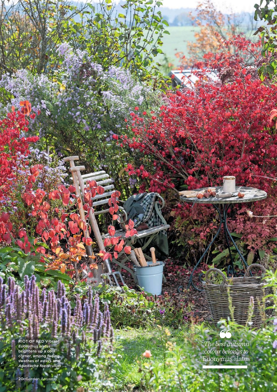 Garden Answers Preview Pages