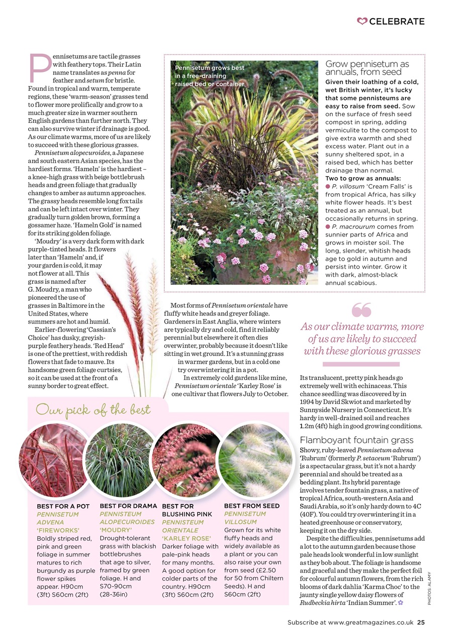 Garden Answers Preview Pages