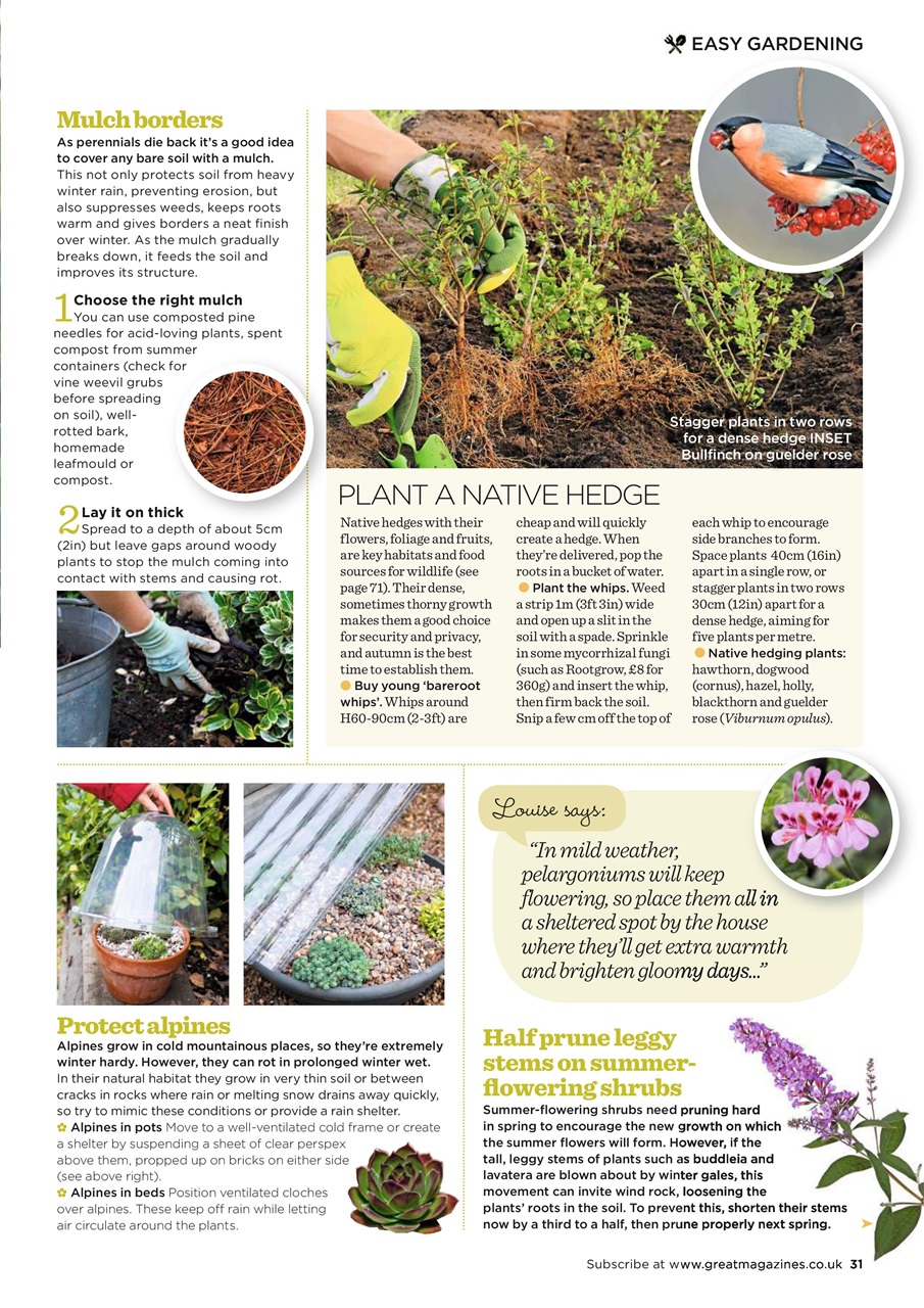 Garden Answers Preview Pages