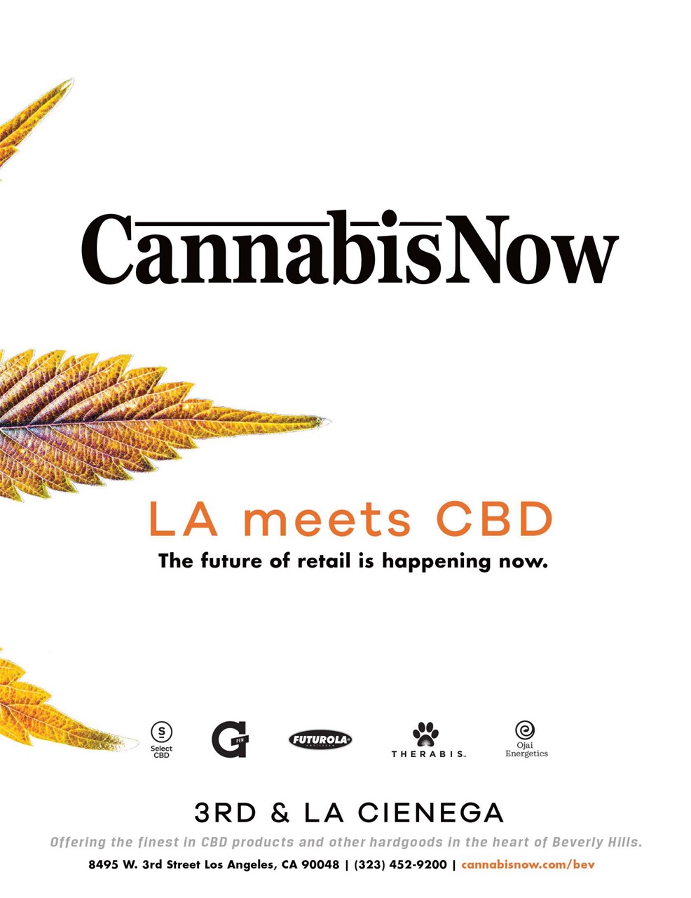 Cannabis Now Preview Pages
