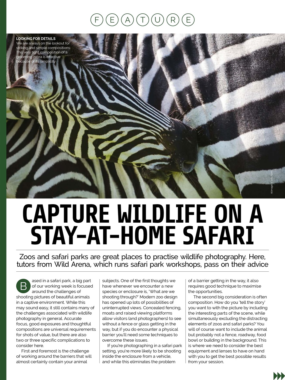 Photography Week Preview Pages