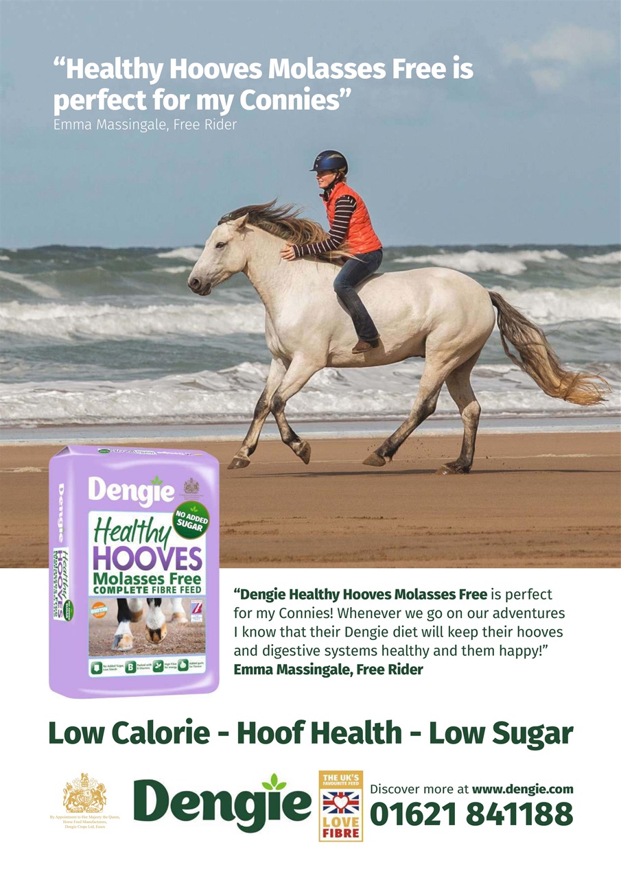 Your Horse Preview Pages