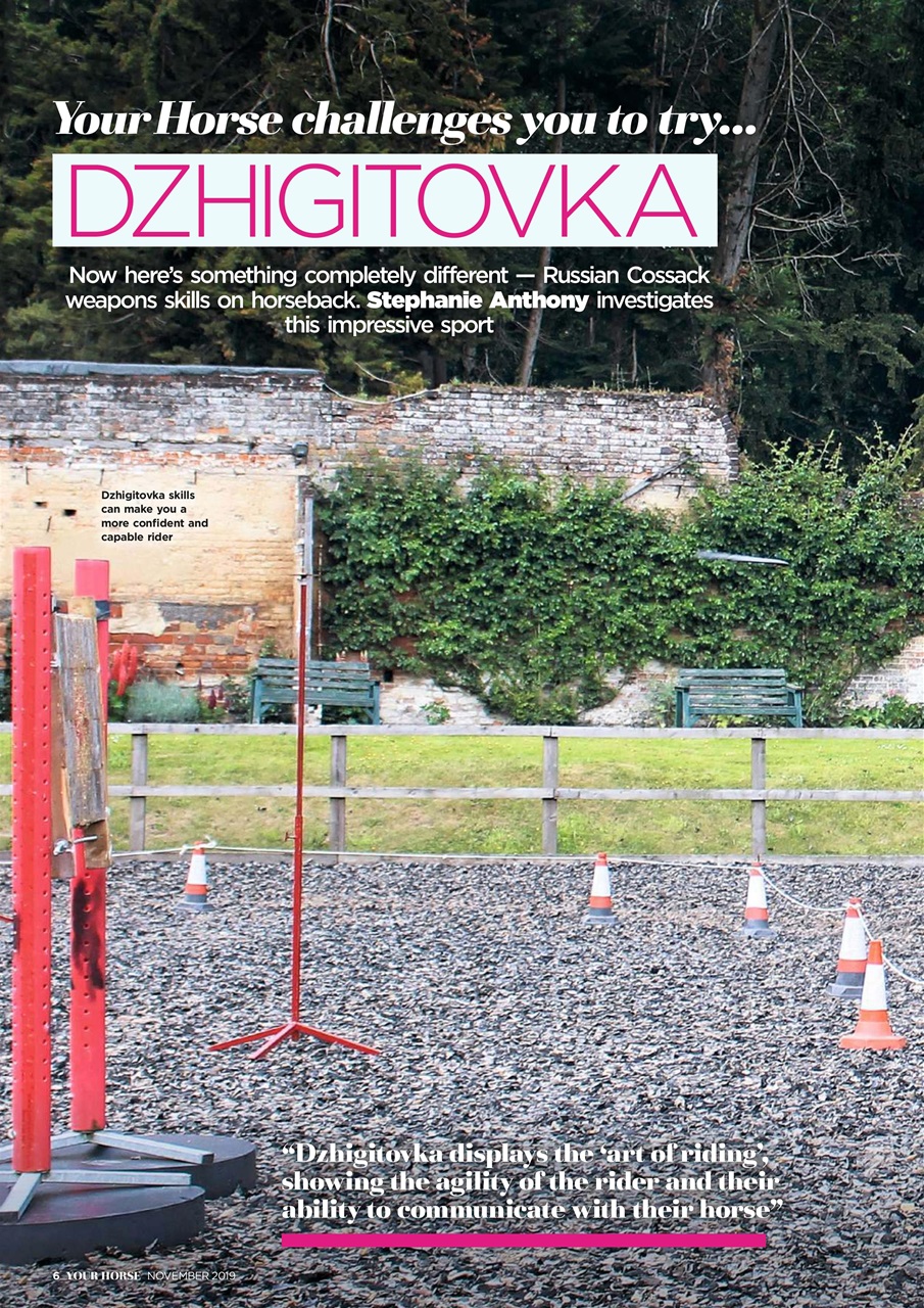 Your Horse Preview Pages