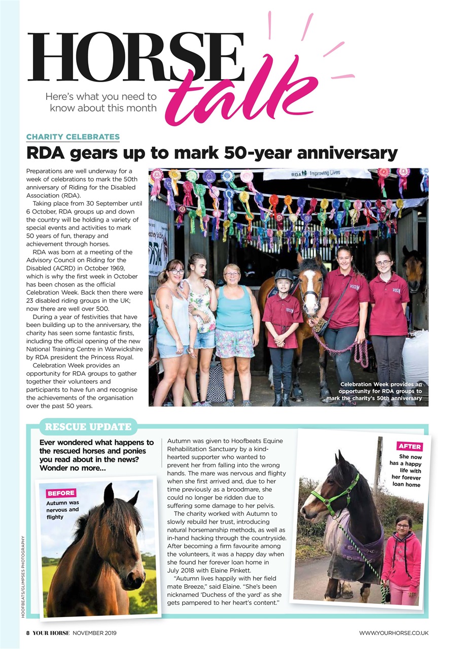 Your Horse Preview Pages