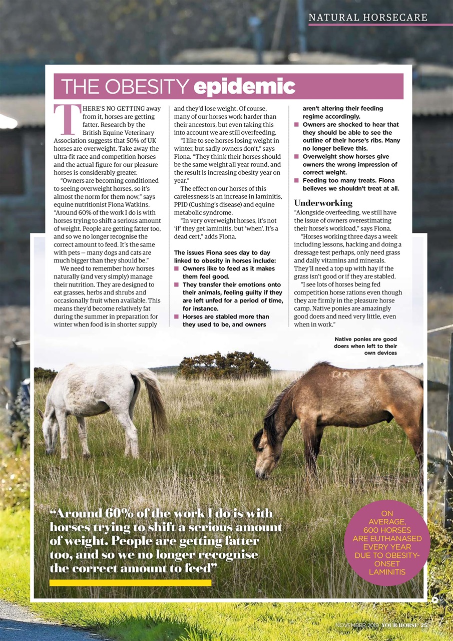 Your Horse Preview Pages