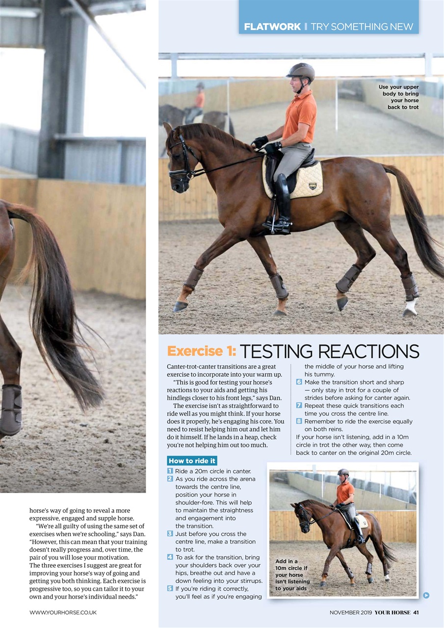 Your Horse Preview Pages