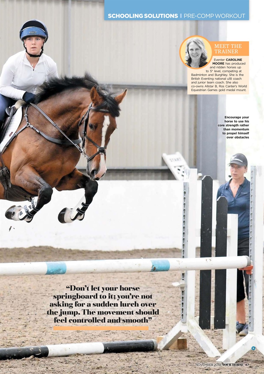 Your Horse Preview Pages