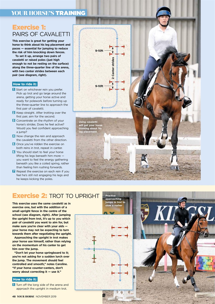 Your Horse Preview Pages