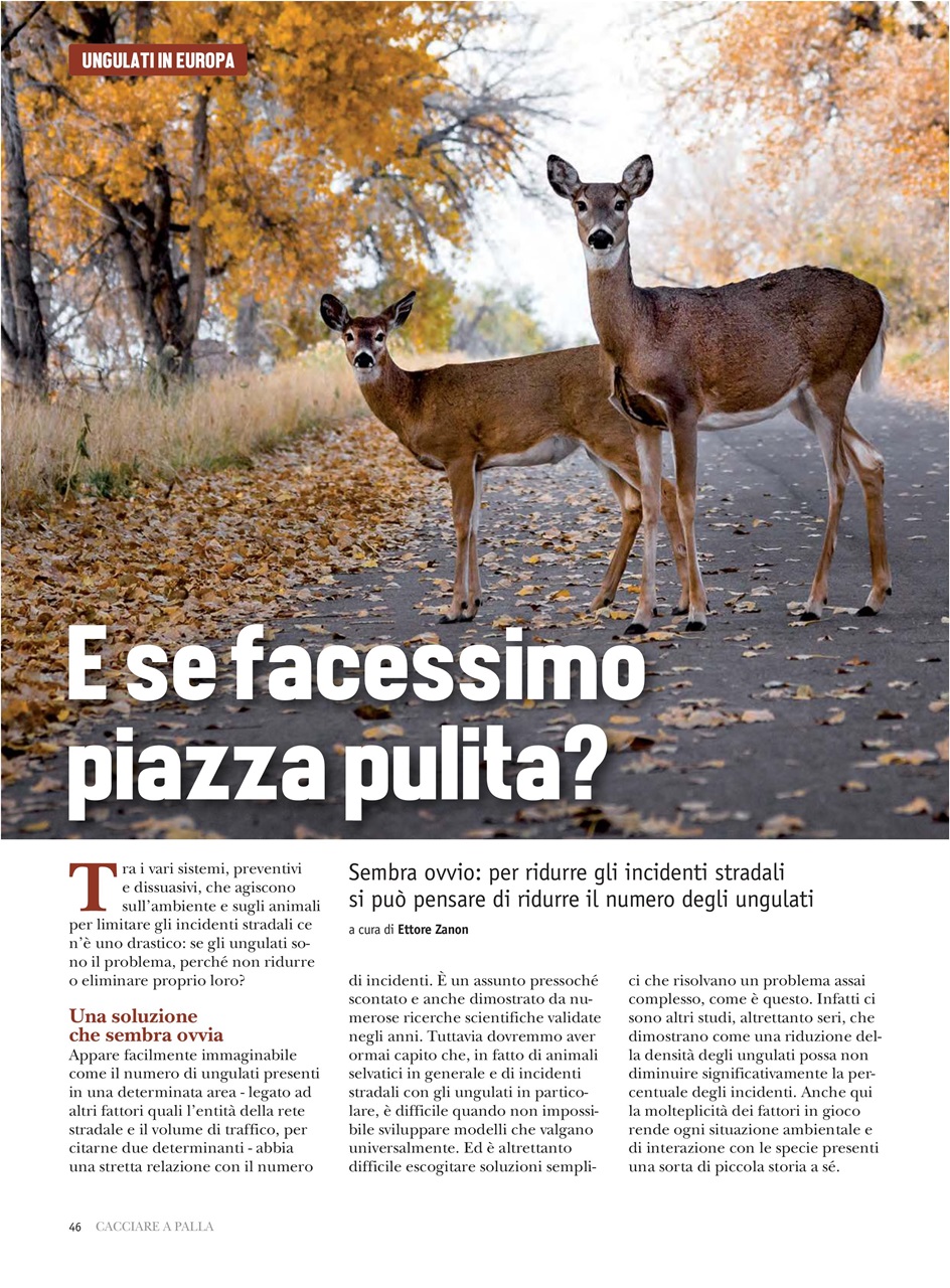 Caccia Magazine Preview Pages