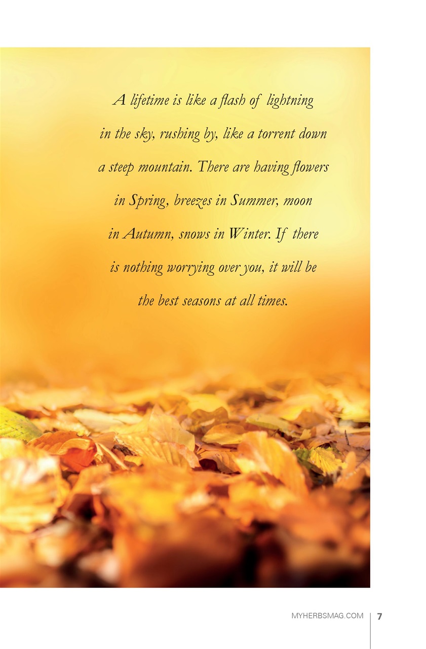 My Herbs Magazine Preview Pages