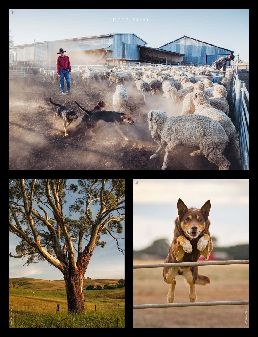 OUTBACK Magazine Preview Pages