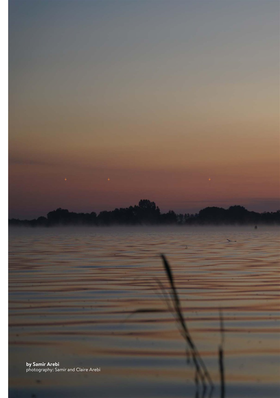 CARPology Magazine Preview Pages