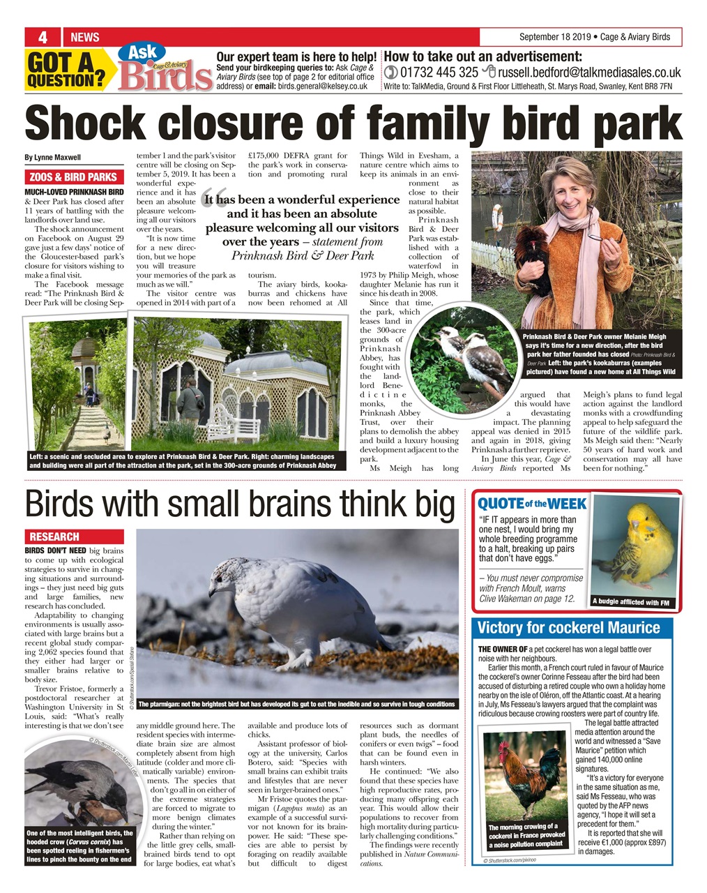 Cage & Aviary Birds Preview Pages