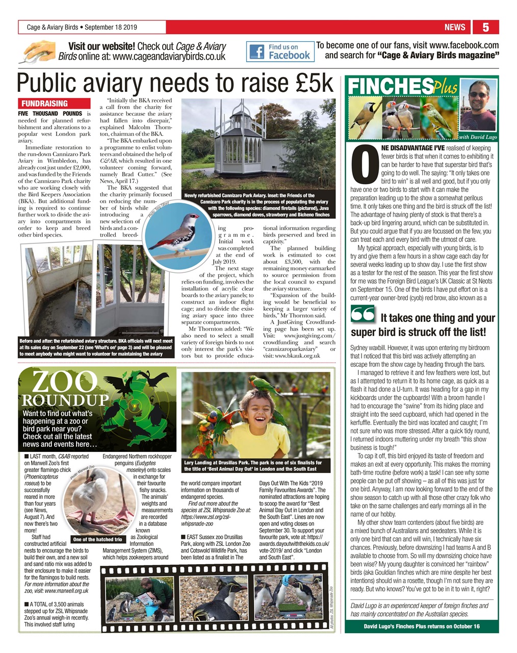 Cage & Aviary Birds Preview Pages