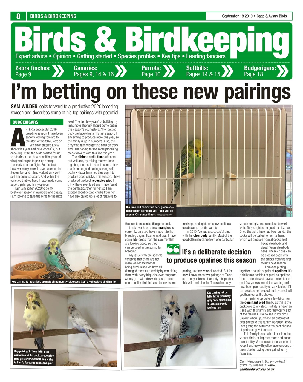 Cage & Aviary Birds Preview Pages