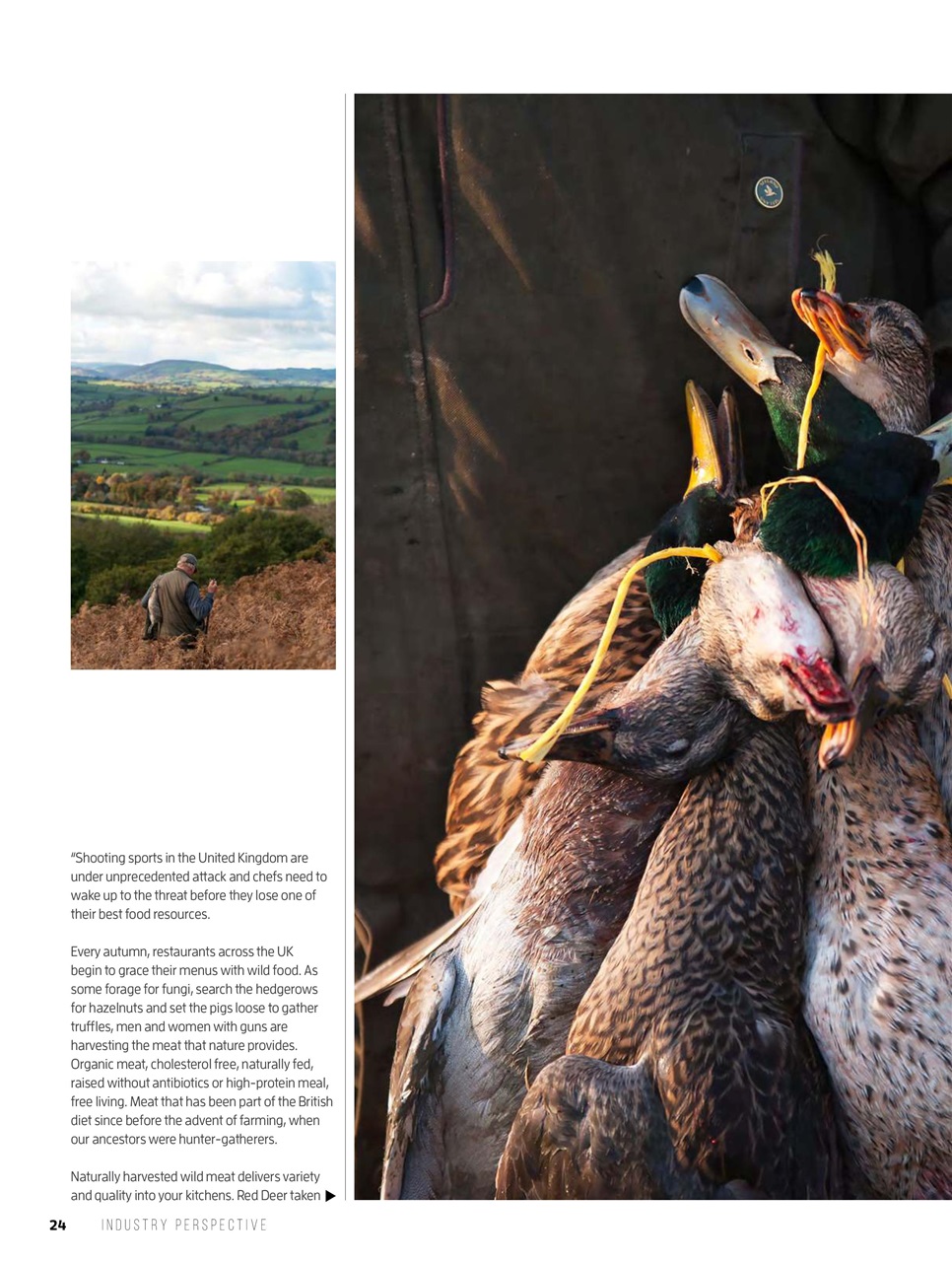 Chef & Restaurant Magazine Preview Pages