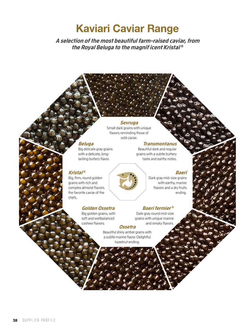 Chef & Restaurant Magazine Preview Pages