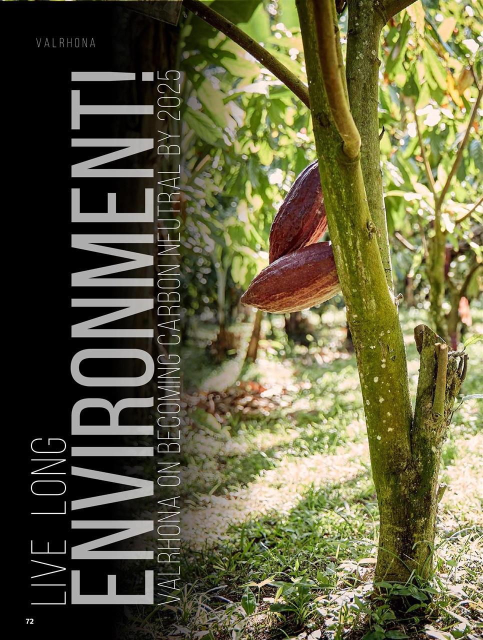 Chef & Restaurant Magazine Preview Pages