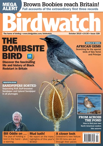 Birdwatch Magazine issue October 2019