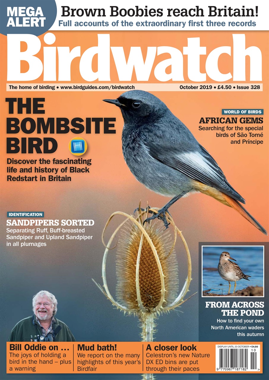 Birdwatch Magazine Preview Pages