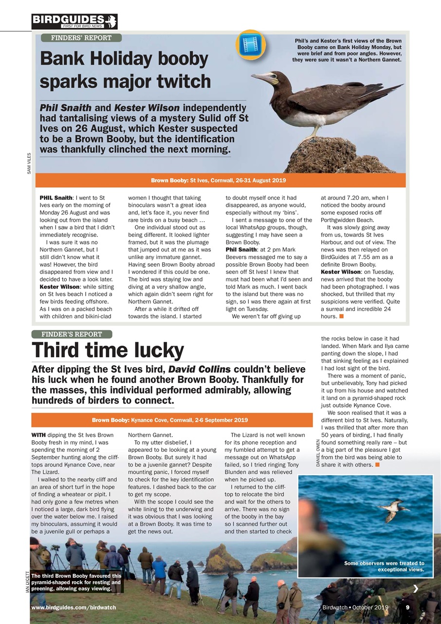 Birdwatch Magazine Preview Pages
