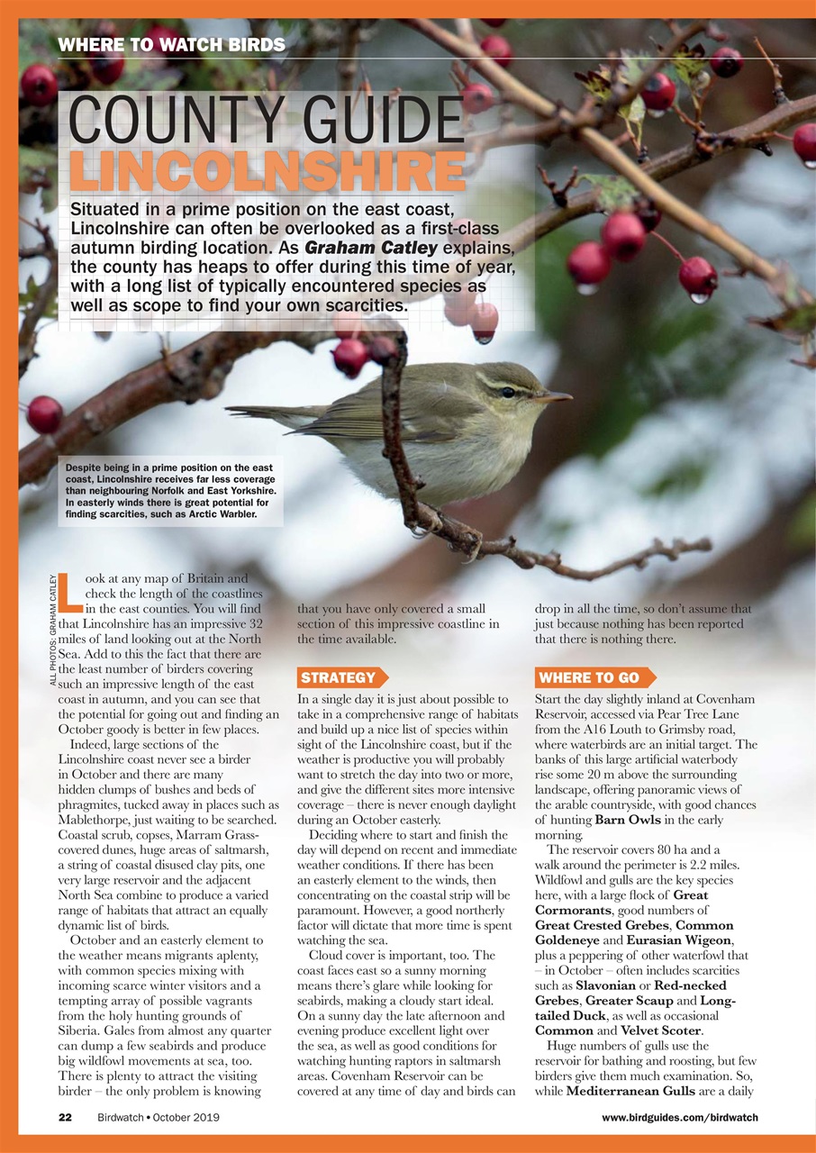 Birdwatch Magazine Preview Pages